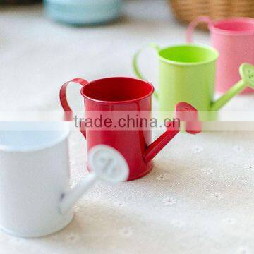 Cheap Small Indoor 2 or 2.5 Inches White Metal Flower Watering Can Mini Planter for Succulents photo-3