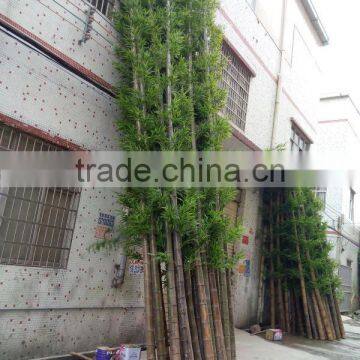 SJ030936 Bamboo Ornamental Plants Artificial Plant Artificial Bamboo Products photo-5