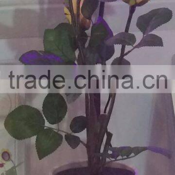 3w Desktop LED Grow Light for Indoor Flower Pot photo-3