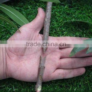 Grafting Machine Tree Garden Scissors Cutting Tools Secateurs Tool Knife Shape photo-2