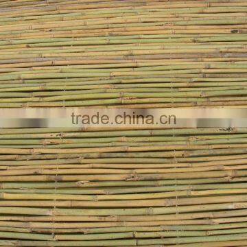 Drilled Bamboo Fence photo-4