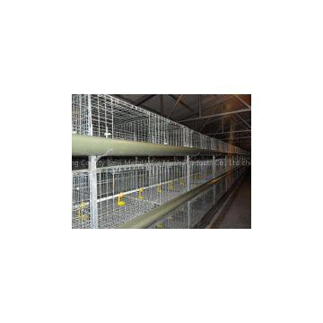 H Type Cages for Growing Broilers