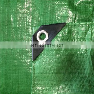 Customized pe tarpaulin export to europe