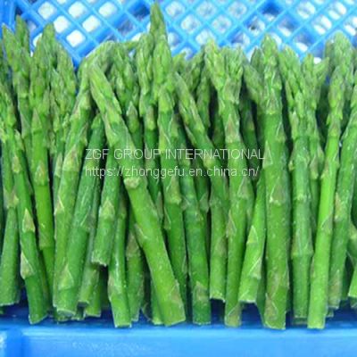 IQF frozen green asparagus whole