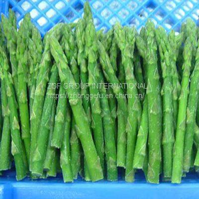 IQF Frozen Green Asparagus Whole