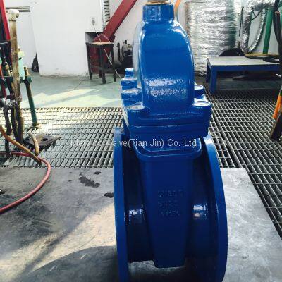 PN25 DIN F4 Non-rising Stem Resilient Seated Gate Valve photo-5