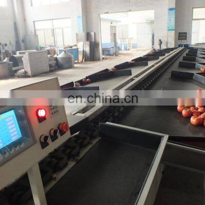 Automatic Cherry Tomato Size Grading Sorting Machine Auto Small Tomatoes Fruit Lychee Sizing Sorter Grader Cheap Price for Sale photo-5