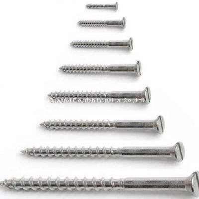 Raised CSK Head Self Tapping Wood Screws , Slotted Raised Countersunk Wood Screw photo-4