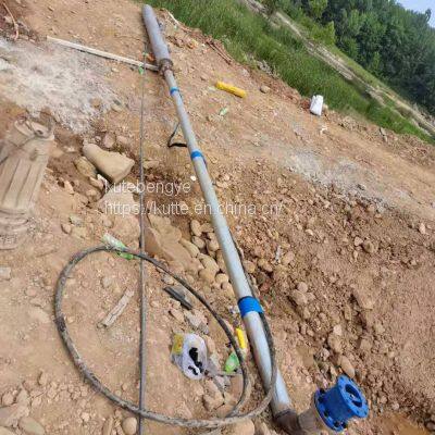 Franklin Deep Well Pump photo-3