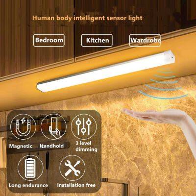 Led Body Sensor Light Wardrobe Wine Cabinet Shoe Cabinet Light Sensor Night Light