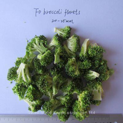 Factory's Best Selling Freeze Dried Broccoli photo-3