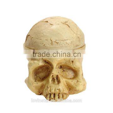 Unique Style Cheap China Porous Skull Individuality Tattoo Pigment Ink Beige tattoo ink Resin Plate