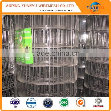 Wholesale cheap welded wire mesh stainless steel welded wire mesh