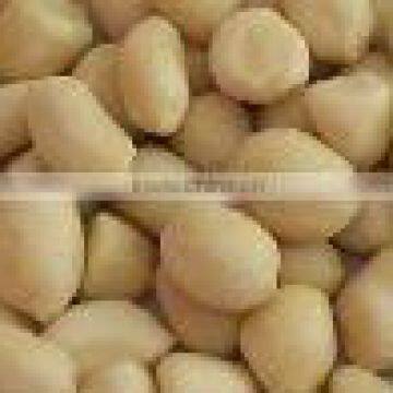 Chinese Blanched Peanut Kernel