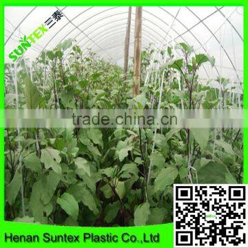 SUPER Plastic Garden Mesh for Growing Plants Support photo-3
