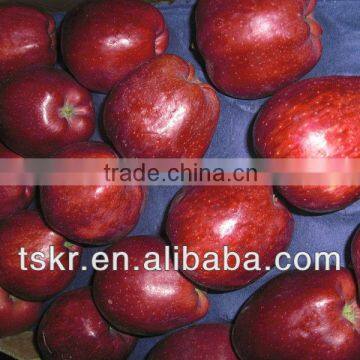 2013fresh Appls From China photo-2