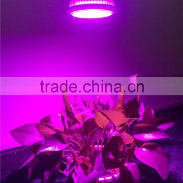 Full Spectrum Hydroponic Grow Light COB 21W Plant Led Grow Light photo-5
