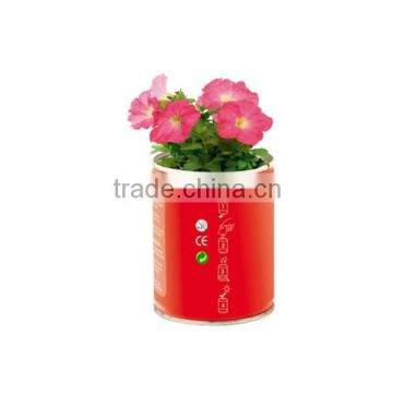 Can Flower,Decorative flowers