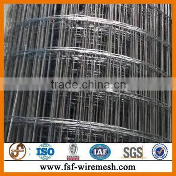 Easily Assembled electric galvanized welded holland wire mesh