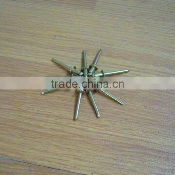 Stainless Steel Rivet/Metal Rivet/Blind Rivet