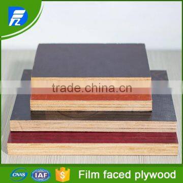 eucalyptus Core Film Faced Plywood for Construction Usage
