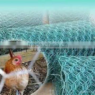 Galvanized Hexagonal Netting Cheap Price photo-6