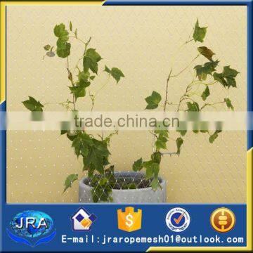 Stainless steel cable rope webnet mesh for green landscaps wall