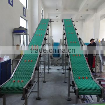 plastic lifting conveyor for food production line