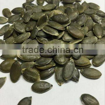 BCS Certified Pumpkin Seeds GWS Grade AA