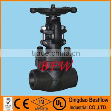 female threaded / socket welded forged gate valve