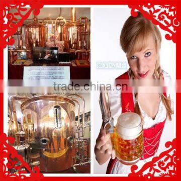 small beer machine 300l beer brewing equipment