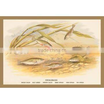 Sticklebacks 12x18 Giclee on canvas