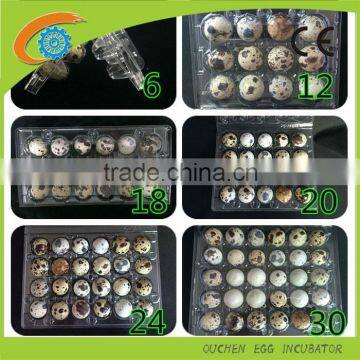 Manufacture hot sale plastic quail egg tray 6/12/18/20/24/30