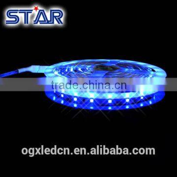 Blue LED strip lights IP20 3528 60led/m 4.8w/m 5m/reel for indoor decoration