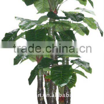 artificial taro plant