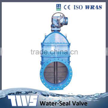 2inch to 24 inch Cast Iron stem gate valve