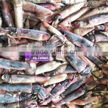 frozen chinese squid whole round black squid