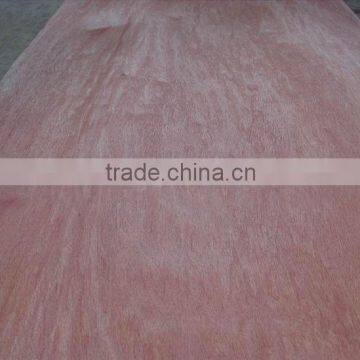 Natural Peeling Cut Bintangor Wood Veneer