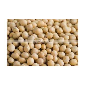 Soybean Seeds