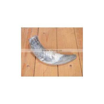 Buffalo/ox /cow Raw Horn for Decoration Manufacturing India photo-4