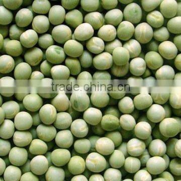 Green Peas