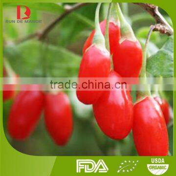 ningxia high quality 100% organic Chinese dried goji berries/red goji /medlar