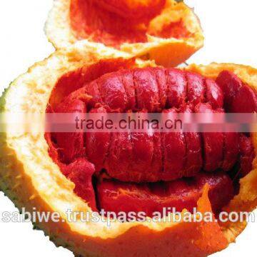 The Best Qualtity GAC FRUIT OIL (Momordica Cochinchinensis) photo-2