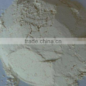 Hot Sell Chinese High Quality Extract Garlic Allicin Powder 100-120 Mesh