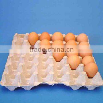 paper pulp egg tray machine factory