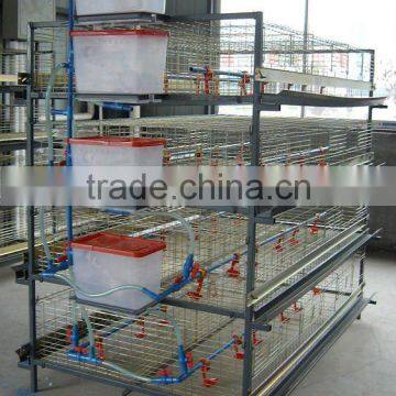 H-type breeding or broiler cage