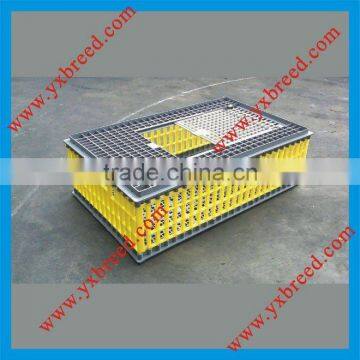 chicken basket