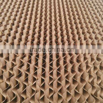 Poultry Curtains for Chicken Farms