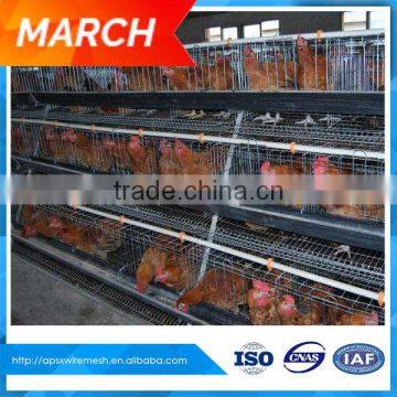 chicken farm house laying hen rearing layer cage for sale