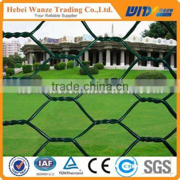 Hexagonal wire mesh (Factory Directly )